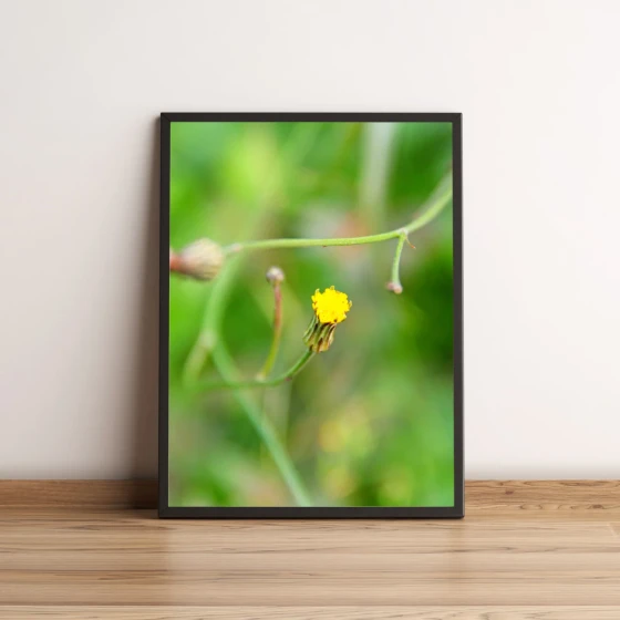 Quadro Flor Amarela 34