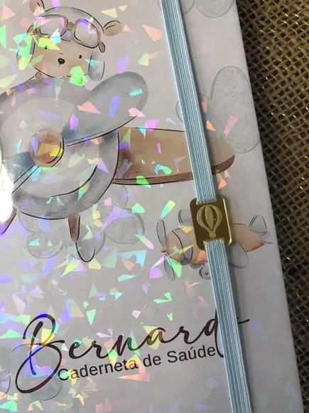 Caderneta de Saúde Vacinação Personalizada Ursinho Aviador