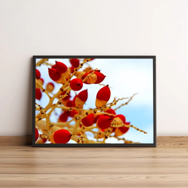 Quadro Decorativo Frutos Vermelhos Planta Tropical 2076