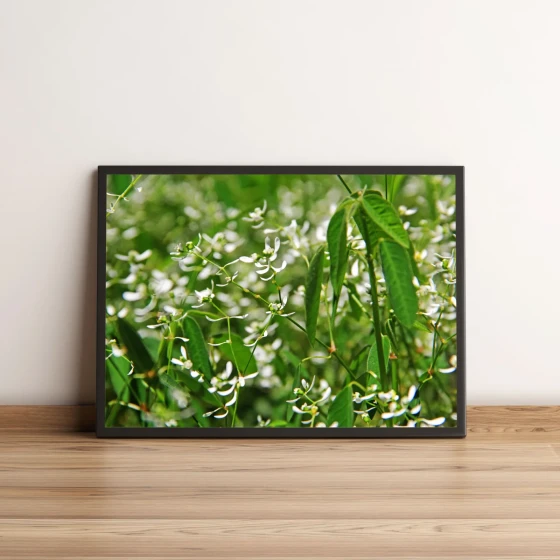 Quadro Decorativo com Flores Brancas e Folhagens Verdes 1983