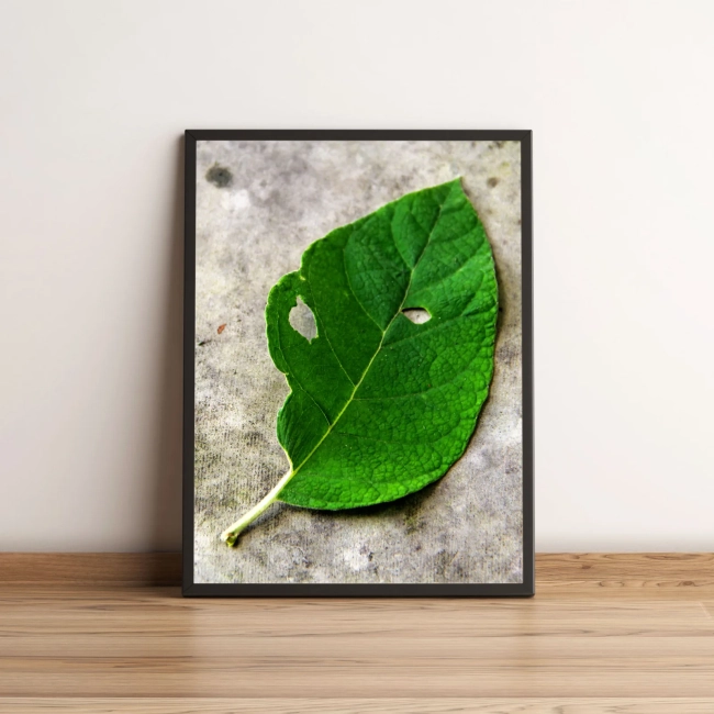 Quadro Folha Verde Com Furos No Chão 47