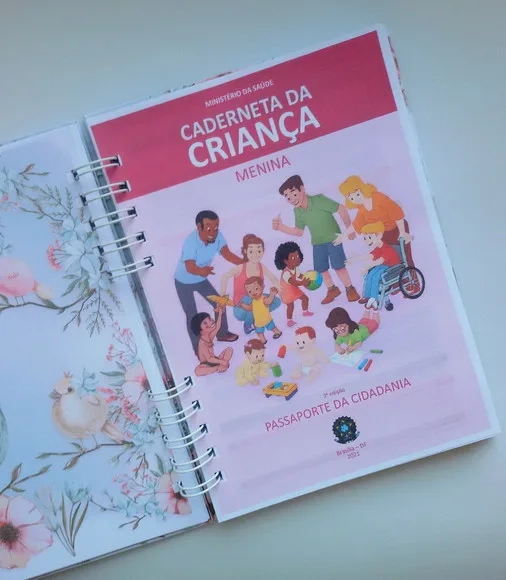 Caderneta Vacina c/ Acessórios-escolha o Tema