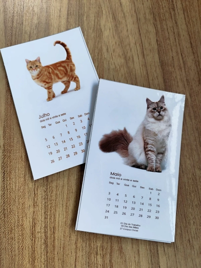 Coleção Felinos - Calendários magnéticos 2027