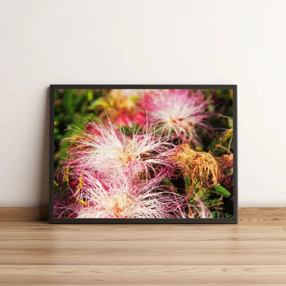 Quadro Decorativo com Flores Rosadas e Brancas Naturais 1982
