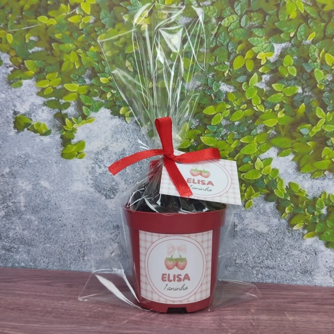 10 Uni. Kit Jardinagem + 10 Uni. Kit Massinha Zip Lock - Morango- Trabalhamos com varios temas.