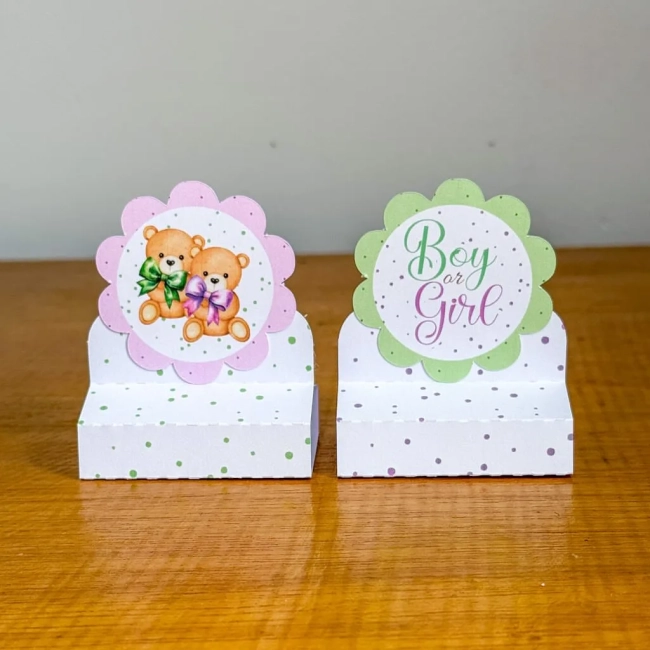 PEGUE E MONTE - Porta Bis Duplo Personalizados CHA REVELAÇÃO VERDE E LILAS - Decoração de Festa | Lembrancinhas | Aniversário | Personalizados