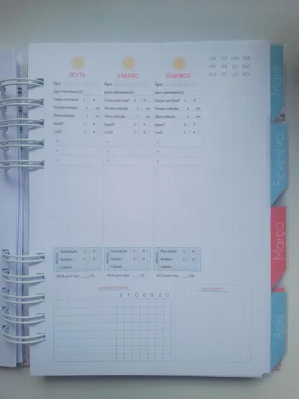 Planner Fitness Mod 01 + Divisórias - Escolha a Capa
