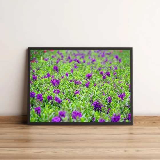 Quadro Jardim De Flores Roxas 36