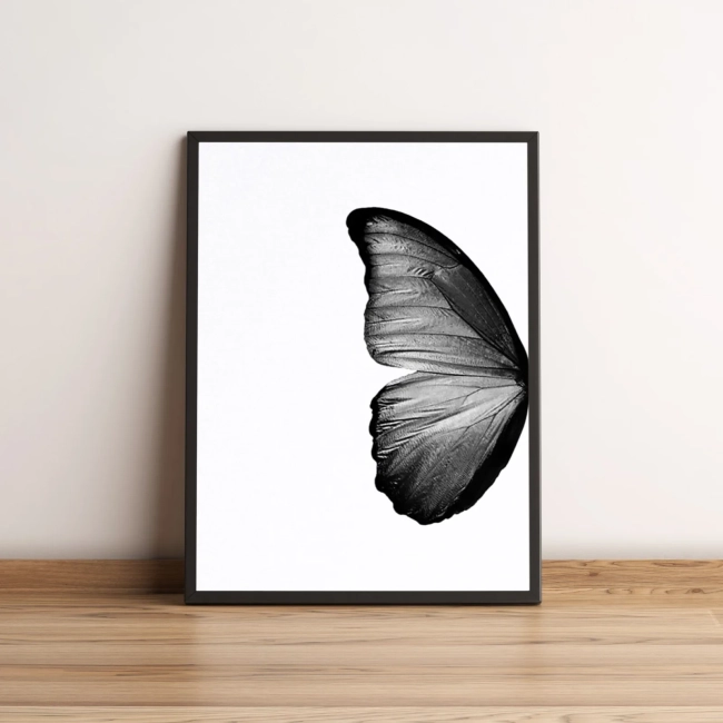 Quadro Asa de Borboleta 363