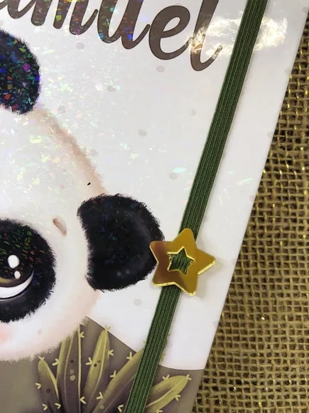 Caderneta de Saúde / Vacinação Personalizada - Panda