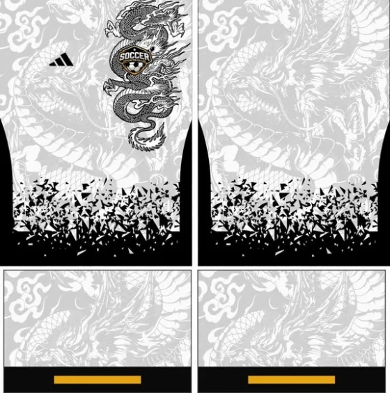 Arte Vetor Camisa Interclasse Dragao Mod-162