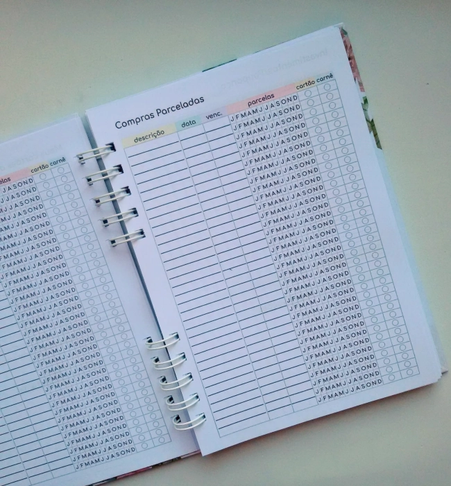 Caderno de Controle Financeiro - Escolha a Capa