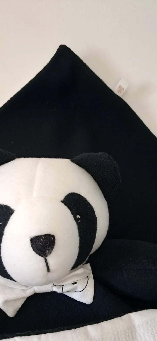 Naninha Pandinha