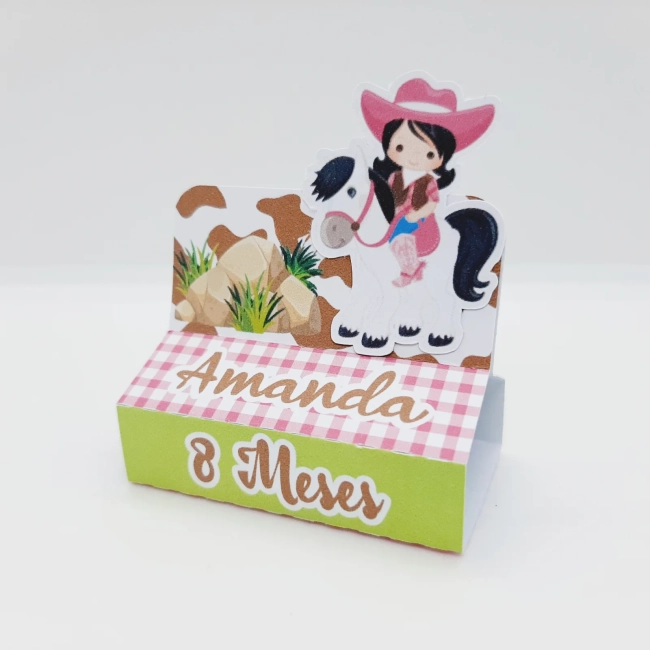 PEGUE E MONTE - Kit Festa POOL FAZENDINHA MENINA - Decoração de Festa - Caixinhas Personalizadas
