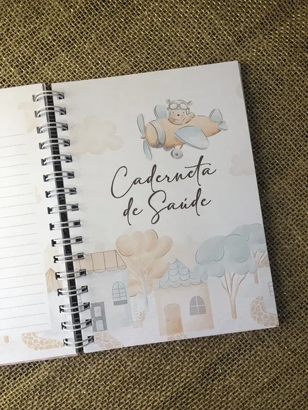 Caderneta de Saúde Vacinação Personalizada Ursinho Aviador