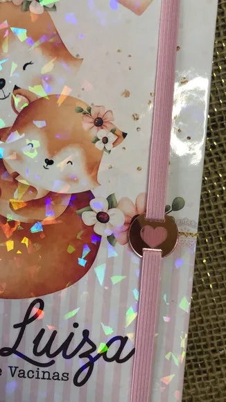Caderneta de Saúde / Vacinação Personalizada -raposinhas