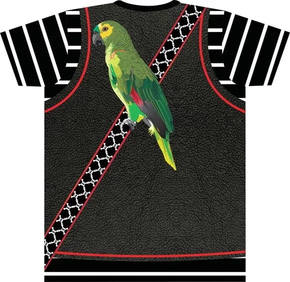 Camiseta Infantil Pirata