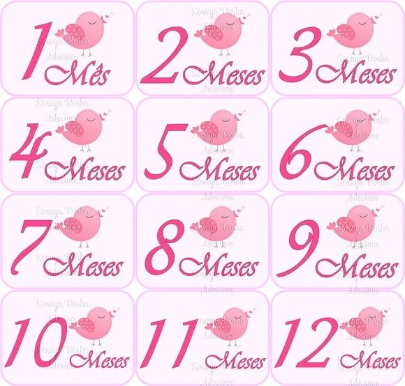 Adesivo Mêsversário Passaro