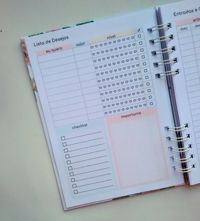Caderno de Controle Financeiro - Escolha a Capa