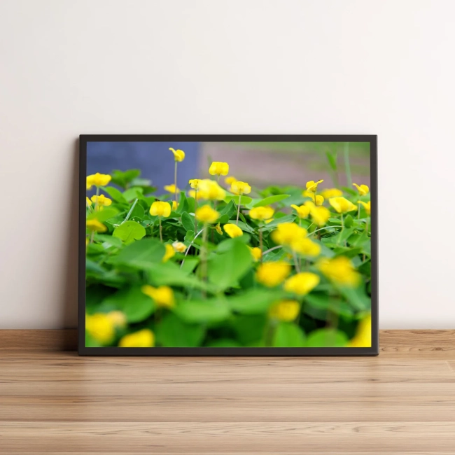 Quadro Jardim Com Flores Amarelas 564
