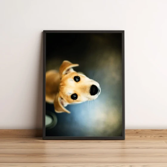 Quadro com Foto de Cachorro Adorável 148