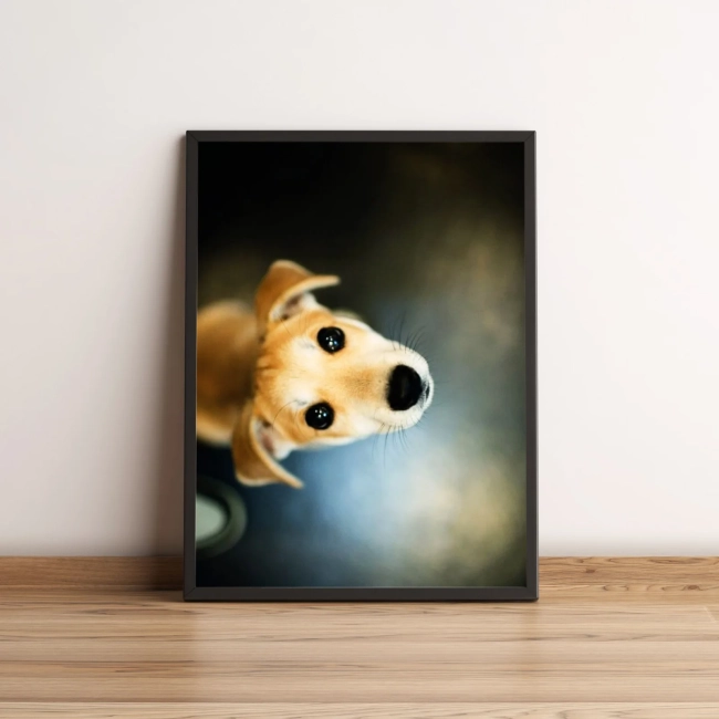 Quadro com Foto de Cachorro Adorável 148