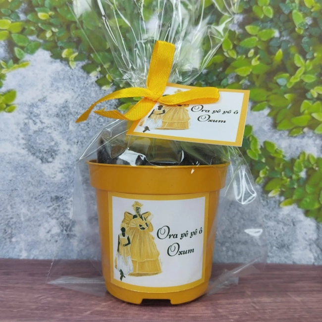 30 UNIDADES Kit Jardinagem Lembrancinhas Oxum - Trabalhamos com qualquer tema - Informar tema no chat