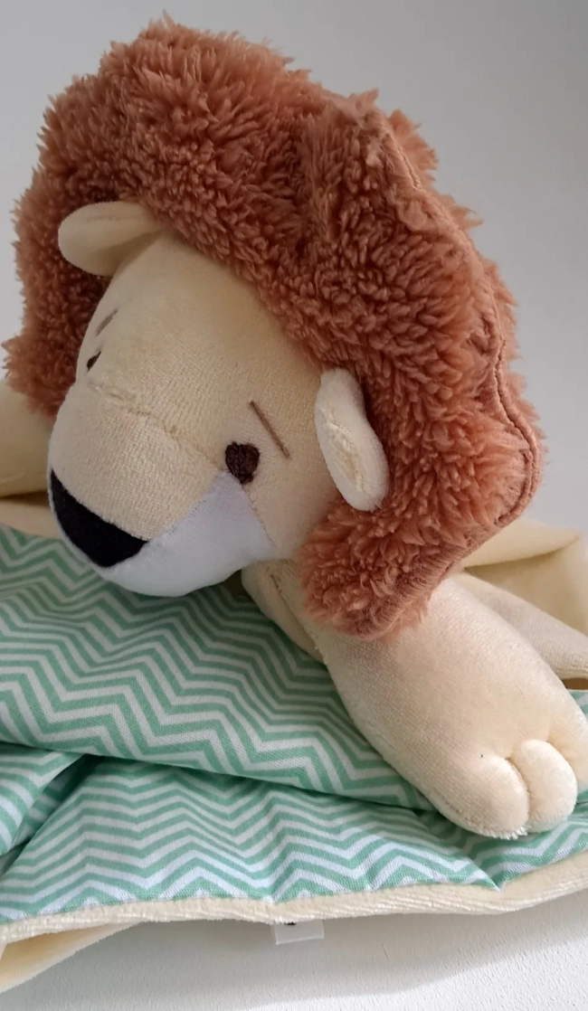 Naninha Leãozinho Leo