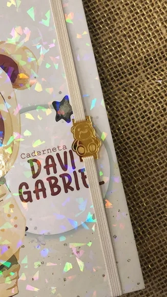 Caderneta de Saúde / Vacinação Personalizada - Ursinho