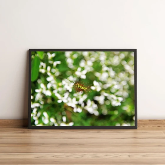 Quadro Decorativo com Flor Exótica e Folhagem Verde 1984