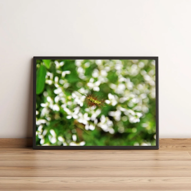 Quadro Decorativo com Flor Exótica e Folhagem Verde 1984