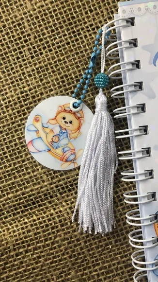 Caderneta de Saúde Vacinação Personalizada Ursinho Aviador