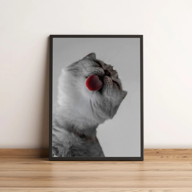 Quadro Gato Lambendo a Tela 20