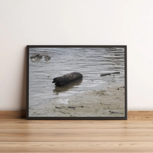 Quadro Decorativo com Tronco Flutuando na Água e Areia 1988