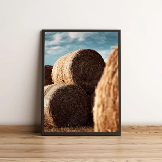 Quadro Decorativo com Fardos de Palha no Campo Rural 2146
