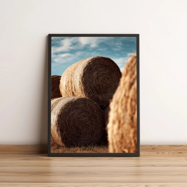 Quadro Decorativo com Fardos de Palha no Campo Rural 2146