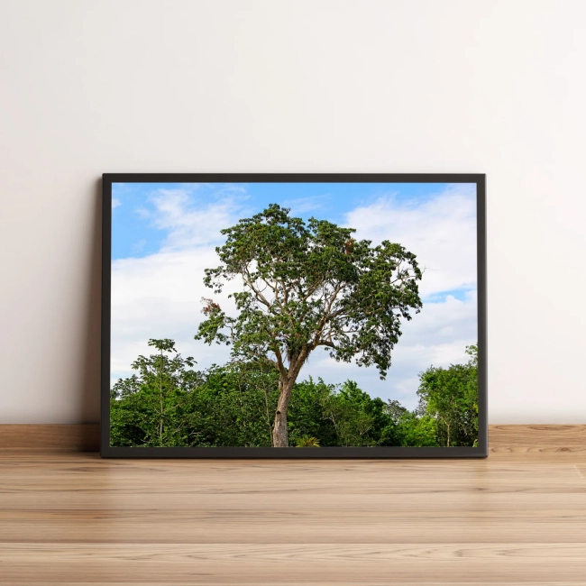 Quadro Decorativo com Árvore Verde em Paisagem Natural 1952