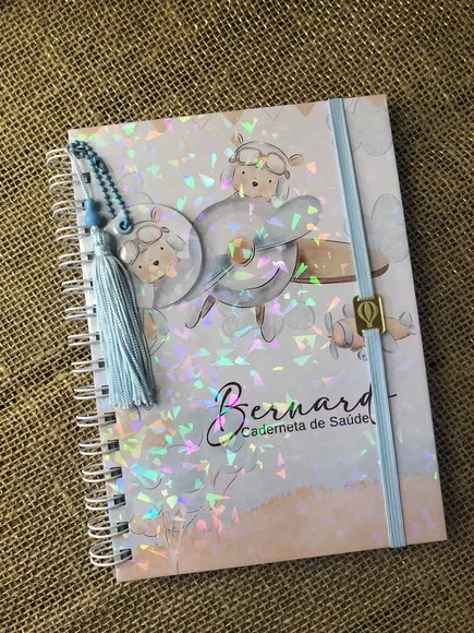 Caderneta de Saúde Vacinação Personalizada Ursinho Aviador