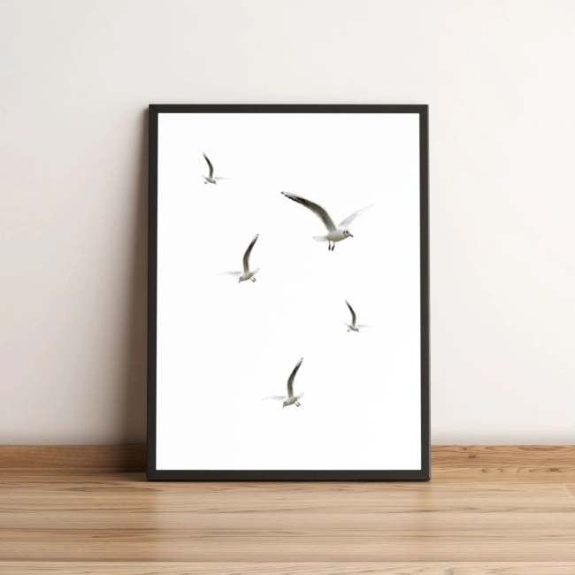 Quadro Pássaros Gaivota Voando 354