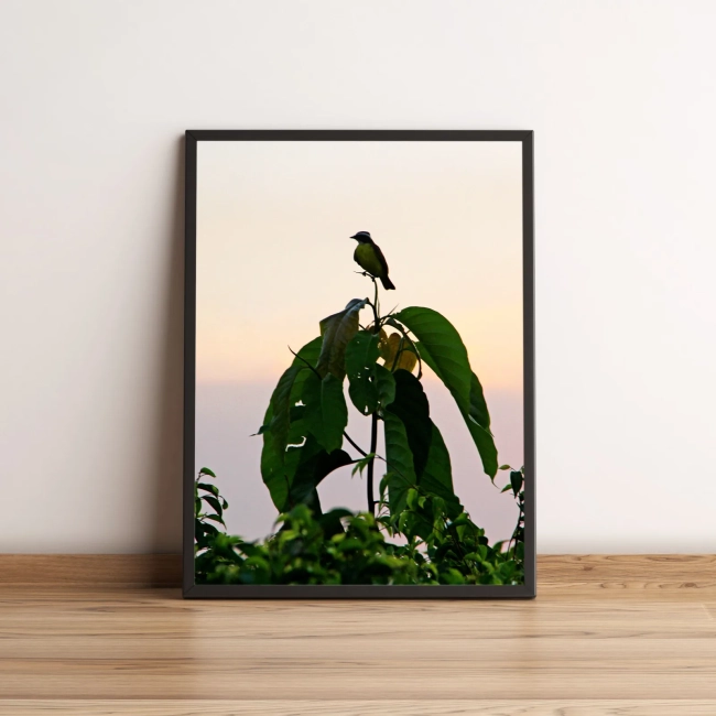 Quadro Pássaro Sobre Galho de Árvore 07