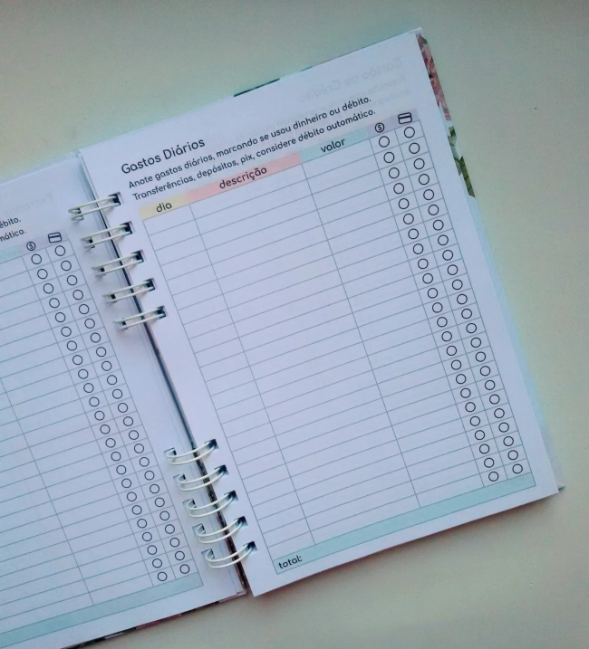 Caderno de Controle Financeiro - Escolha a Capa