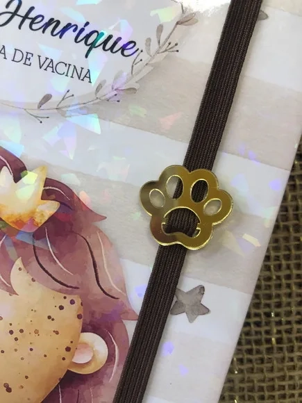 Caderneta de Saúde / Vacinação Personalizada - Leãozinho