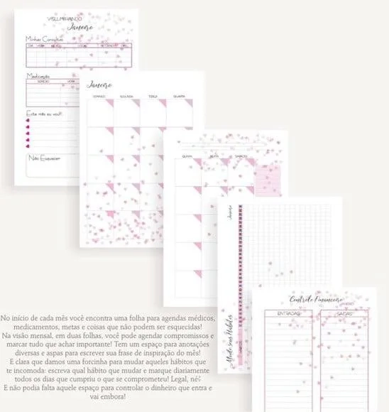 Planner Permanente Corações