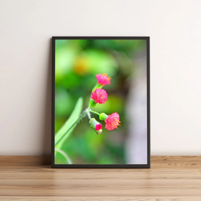 Quadro Flor de Pétalas Rosas 129