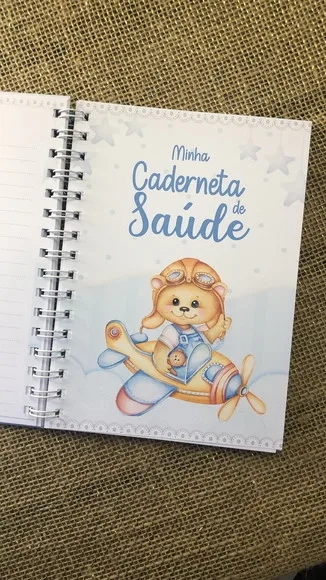Caderneta de Saúde Vacinação Personalizada Ursinho Aviador