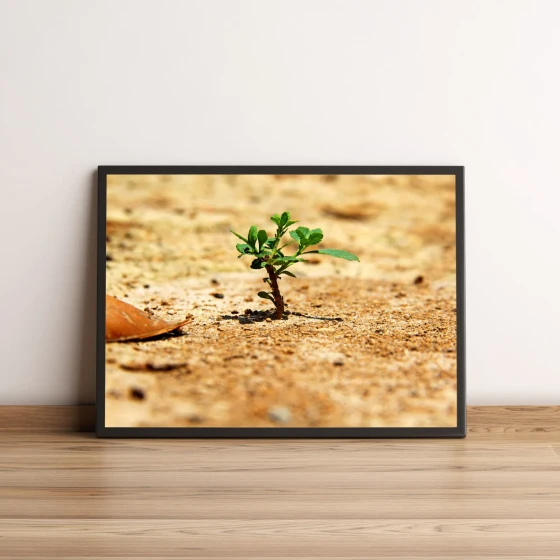 Quadro Pequena Planta Verde 40