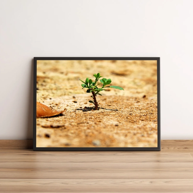 Quadro Pequena Planta Verde 40