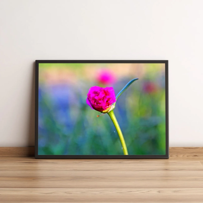 Quadro Flor Com Pétalas Rosas 336