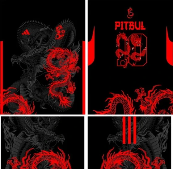 Arte Vetor Camisa Interclasse Dragão 366
