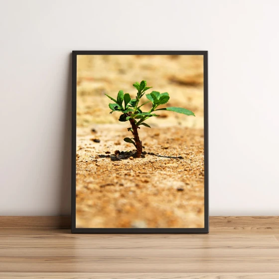Quadro Pequena Planta Verde 106